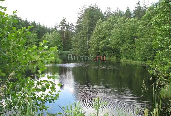 Деревенская усадьба в деревне Мещерск заповедника Москва