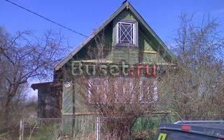 Старорусский район д. Муравьево Великий Новгород