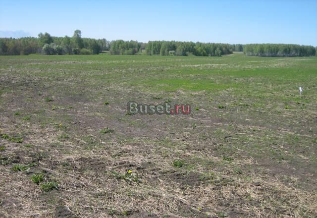 Земельные участки по 15 соток Красноярск