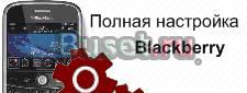 Все услуги и товары для BlackBerry с доставкой Москва