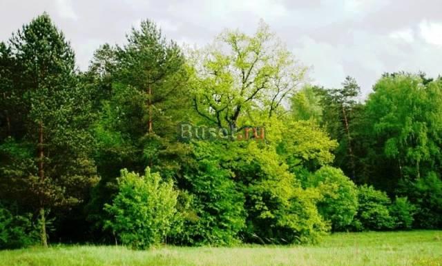 Земля у Оки от 12 соток от 15 тыс руб/сотка Москва