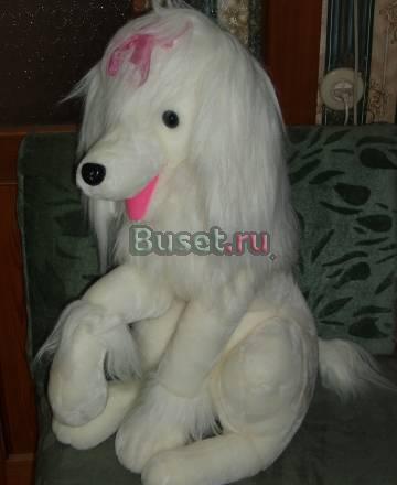 Мягкая игрушка Астрахань
