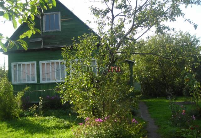 Дача Москва