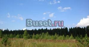 Бюджетный участок 5 соток ПМЖ село Мамонтово Москва