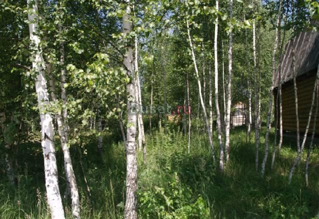14 соток, 45 км от МКАД, в березовой роще Москва