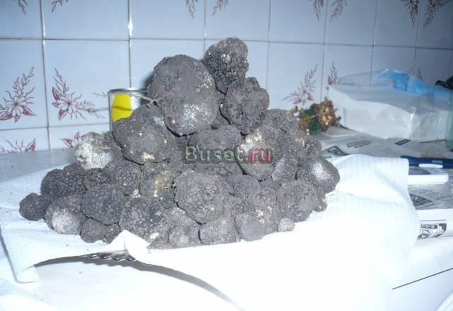 Трюфель Ростов-на-Дону