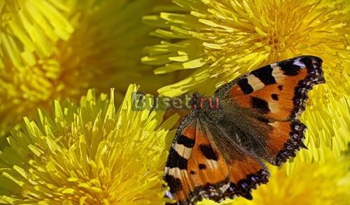 Красота это рядом Челябинск