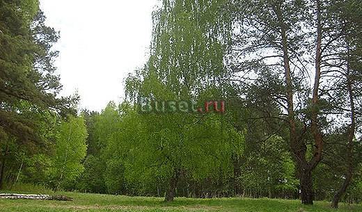 Земельный участок 9 соток Москва