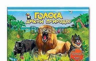 Книга-раскладушка в твёрдом переплёте с 5 звуками Санкт-Петербург