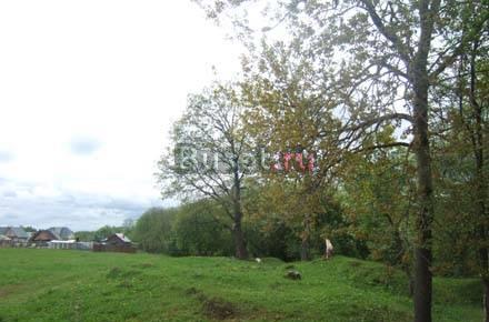 30 соток в д.Рождествено 98 км Киев, и Минское Наро-Фоминск