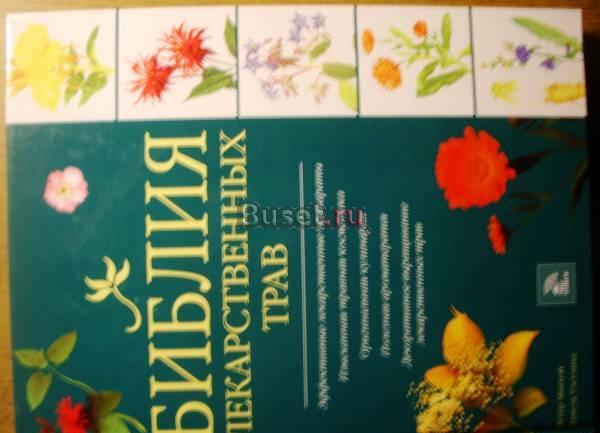 книги Кингисепп