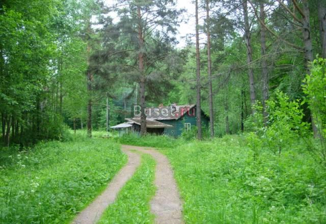 Продам базу отдыха в Петровском Санкт-Петербург