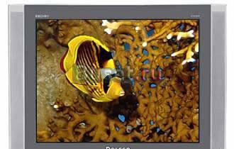 Rolsen C29R100TI2 100 Гц Москва