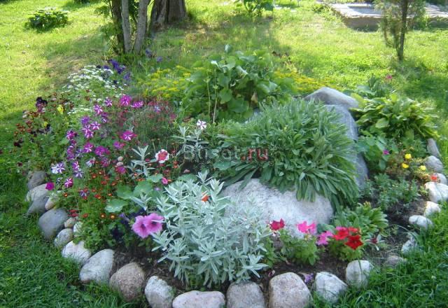 Новгородская область д. Полосы Великий Новгород