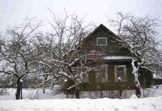 Новгородская область д. Плашкино Великий Новгород