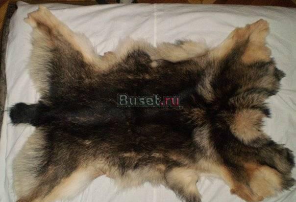 Шкура Москва