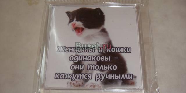 Женщины и кошки одинаковы Москва