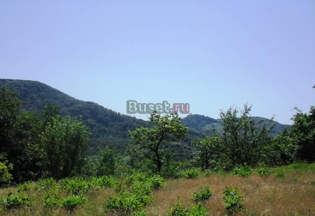 Земля в Сочи Сочи