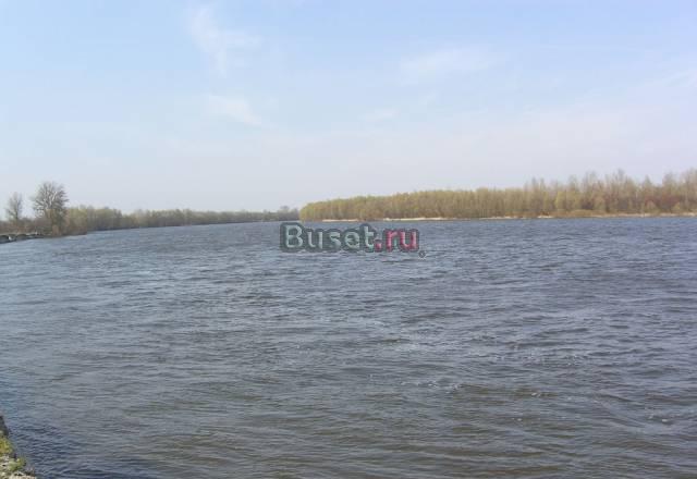 Украина  Киевкая обл  Земля под котеджи на р.Десна Санкт-Петербург