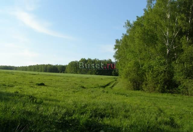 12 соток, Чеховский р-н, 62 км от МКАД,недорого Москва