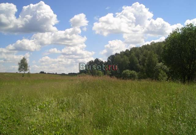 Участок 14 соток, примыкает к лесу, Раменский р-н Москва