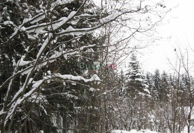 Продается участок в деревне Мартюшино Истра