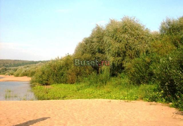 Лесной участок 800 метров до р.Оки Москва