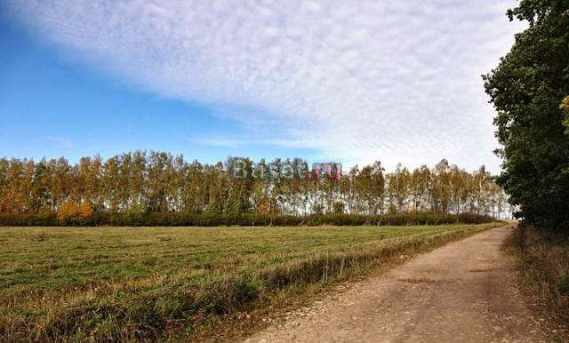 Участок 6-25 соток 10км от МКАД по Егорьевскому ш Москва