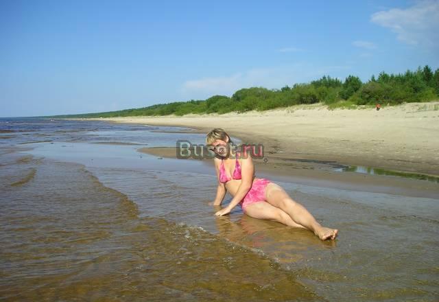 Участок Финский залив д.Саркюль в охот заказнике Москва