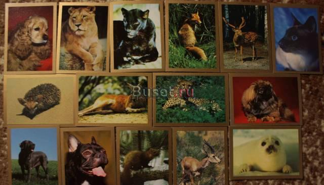 Календарики. Серия "Животные" (15 шт) Москва