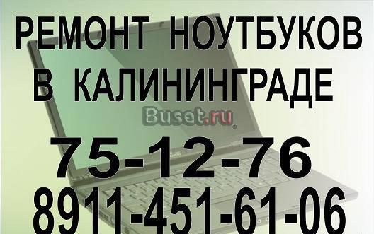 Ремонт ноутбуков различных брендов Калининград
