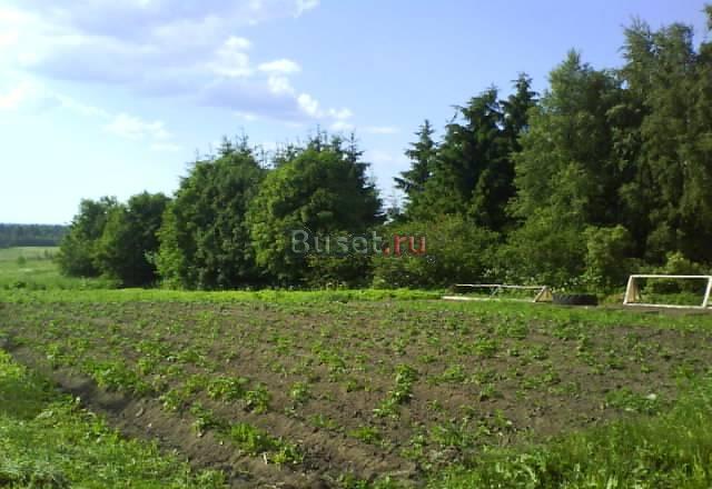 Продажа земельного участка Санкт-Петербург