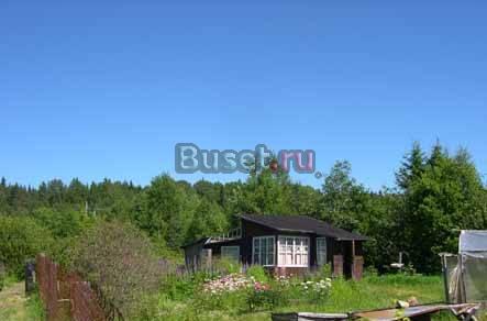 Садоводство "Росинка", летняя дачка Выборг