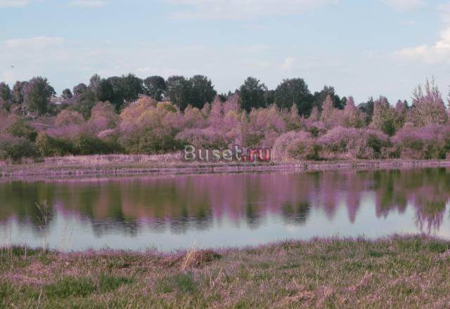Участок по Ярославскому шоссе г.Переславль Переславль-Залесский