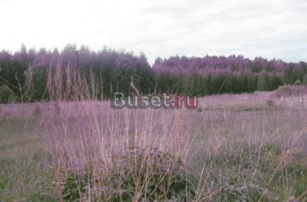 Земельный участок в с. Соломидино Переславль-Залесский