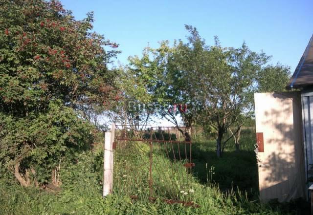 Участок 6 соток+деревья+домик в д. Дятлино Дмитров