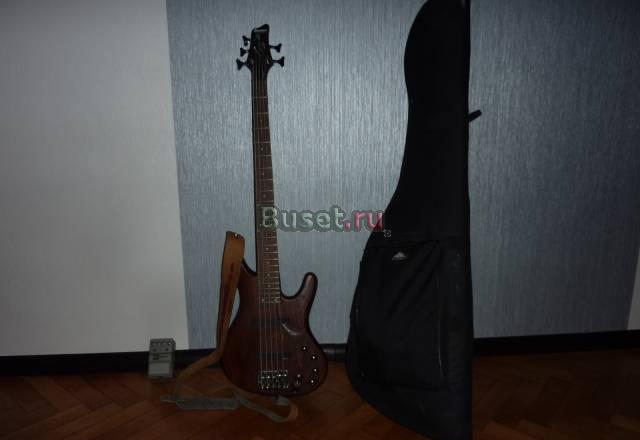 Ibanez EDB555 walnut flat Москва