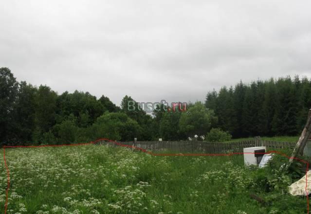 Участок по границе с лесом Александров