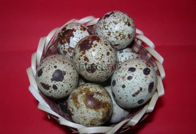 Яйцо перепелиное Самара