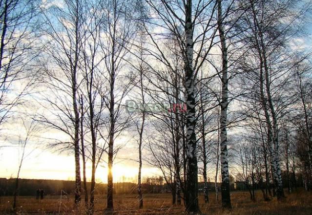 8 сот. в кп, все коммуникации, Киевское, Боровское Москва