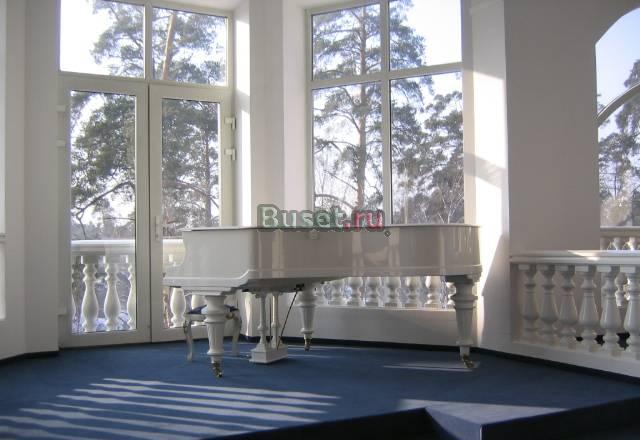 Новые и антикварные рояли  пианино органы Москва