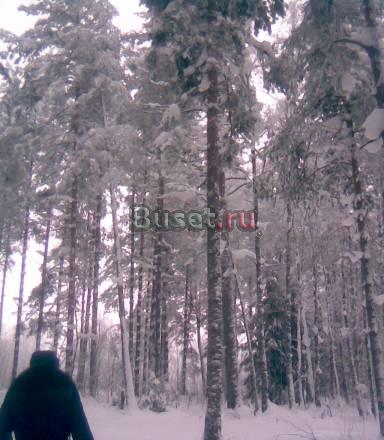 МЕЖОЗЕРЬЕ.ИЖС.12 сот.Собств. Выборг