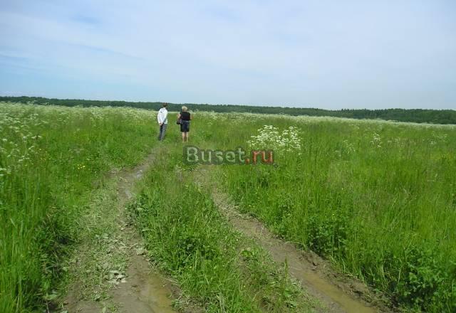 Участок 2,6 га (крест. во) рядом с  п. Кипень Санкт-Петербург