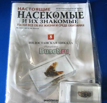 Насекомые и их знакомые N8 Москва