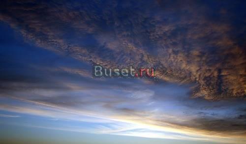 Алтайский  мёд Красноярск