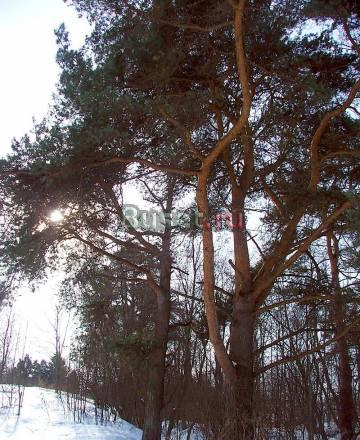 Продается  участок 30 сот. , н Москва