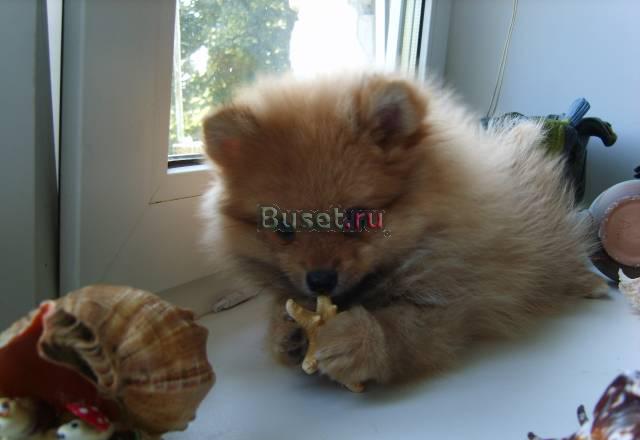 Они вас ждут Москва