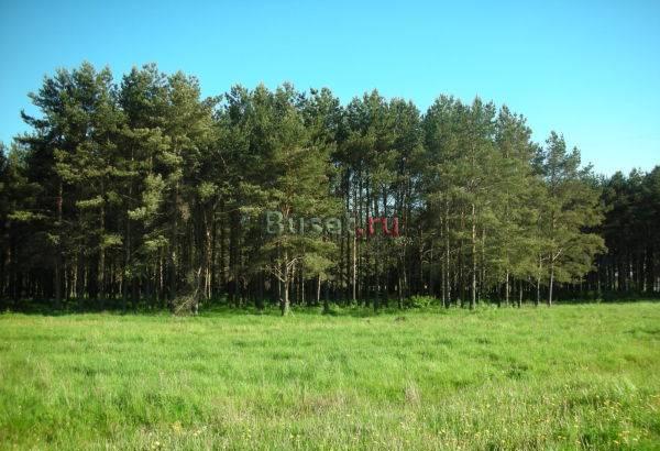 Задача продать участок в Сергиевом Посаде Сергиев Посад