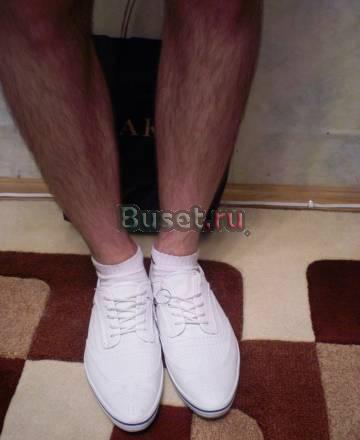 Сиамские котята Санкт-Петербург