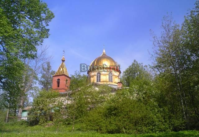 У озера Орлино 15 сот 65км от СПб(Гатчинский) Санкт-Петербург